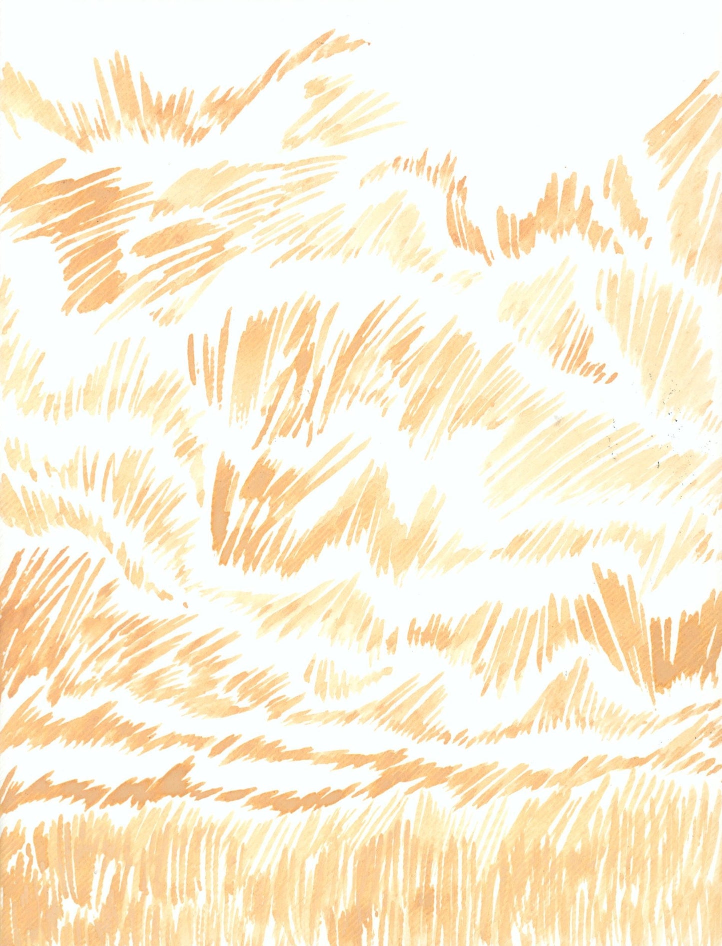 654