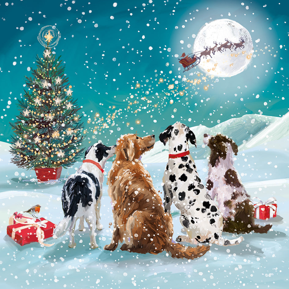 Watching Santa Christmas Cards