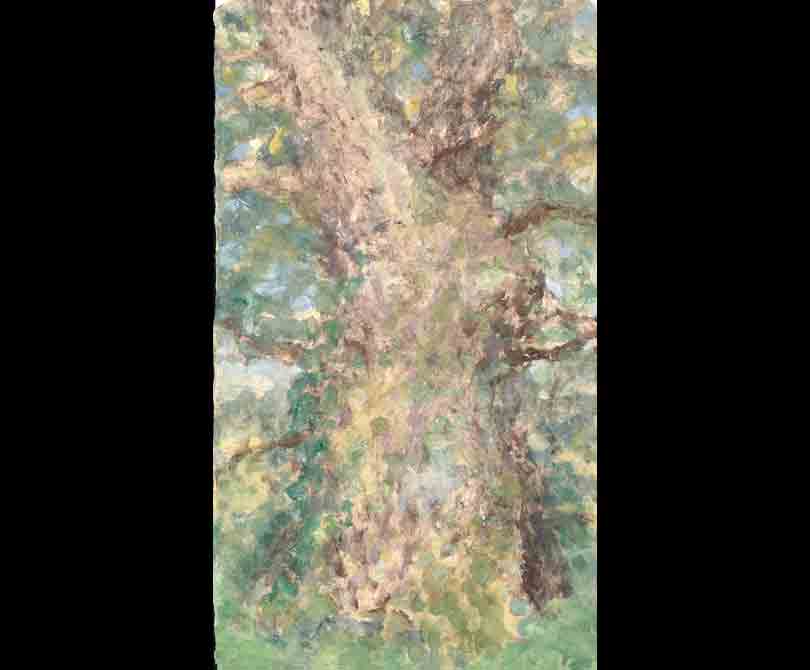 218