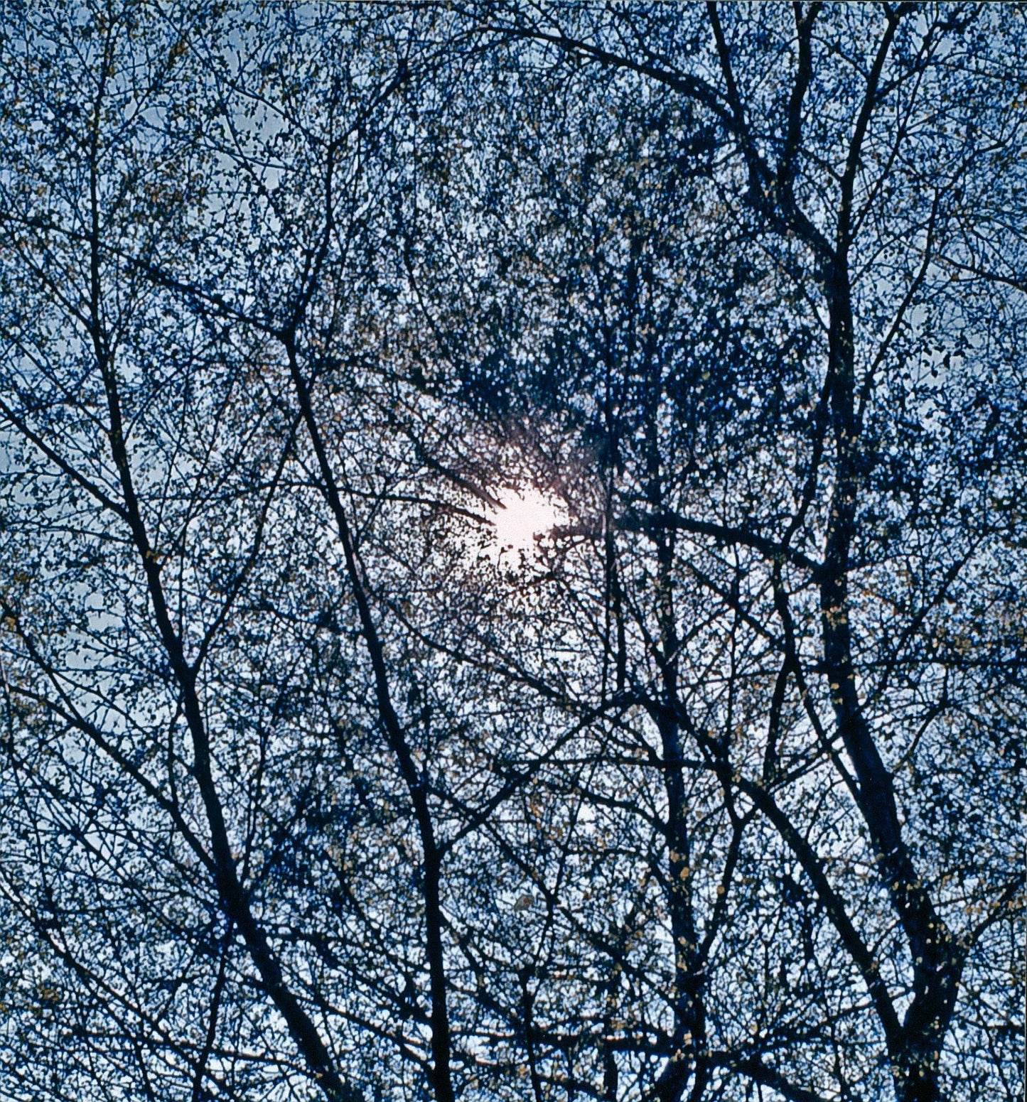 117