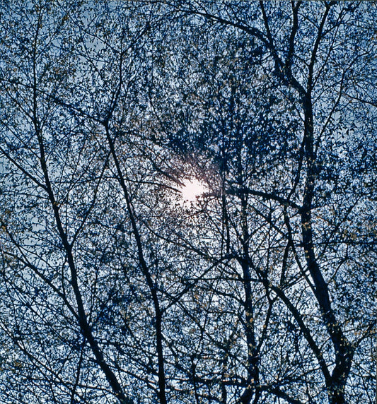 117