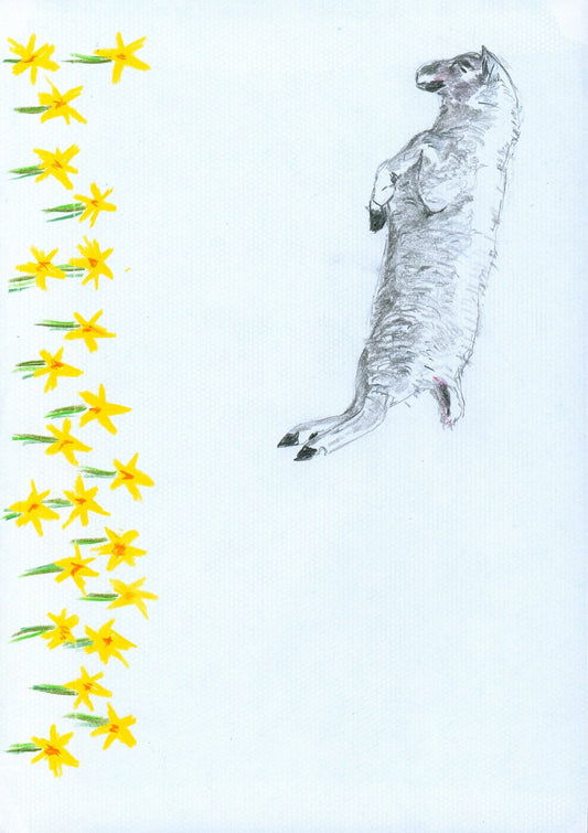 366