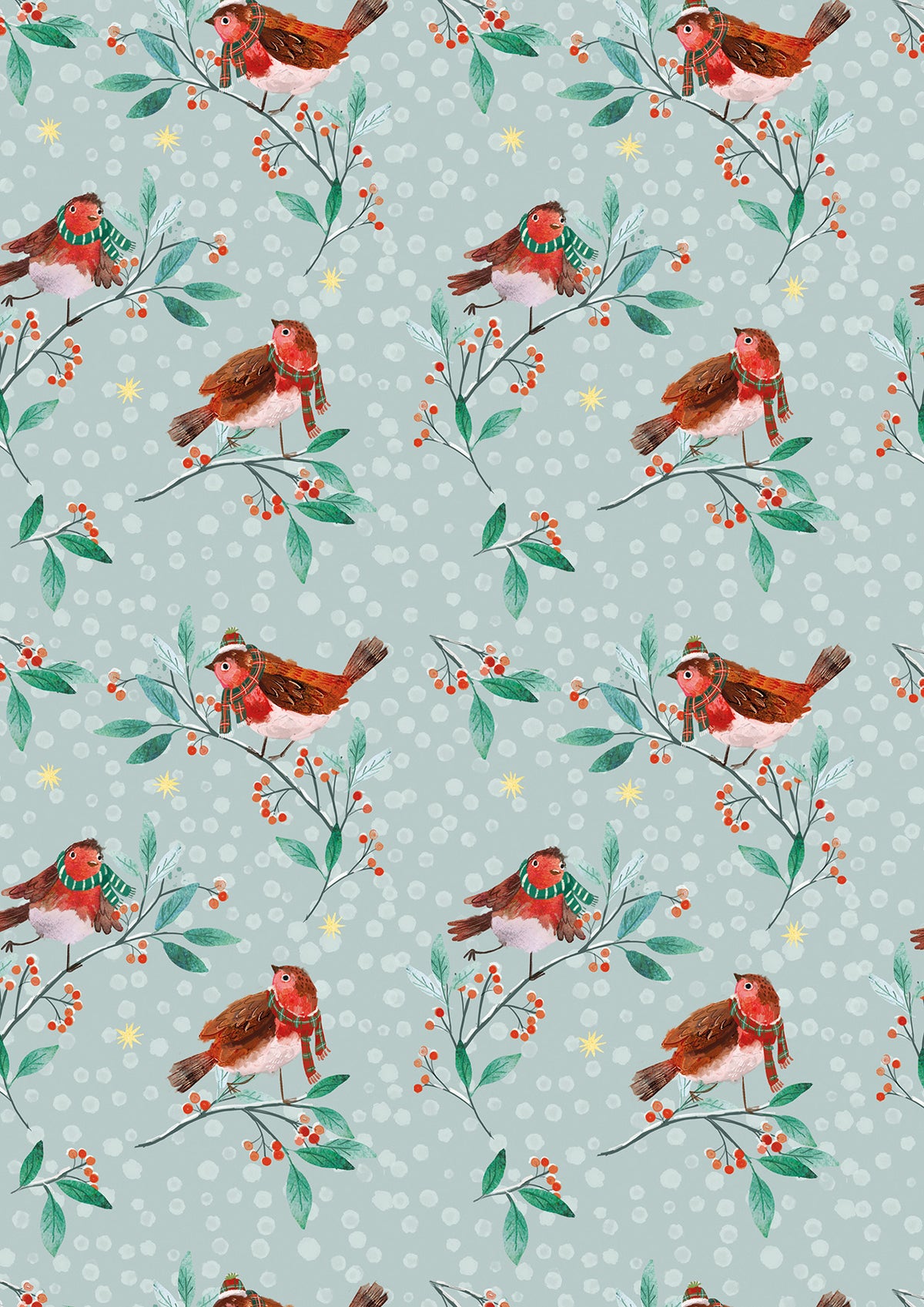 Robin Friends Gift Wrap